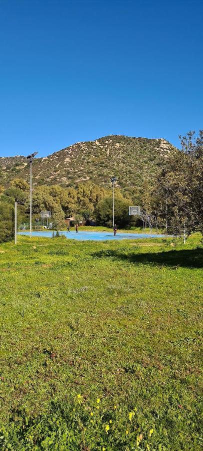 Villa Panoramica Tra Suggestive Notti Stellate. Torre delle Stelle Eksteriør bilde